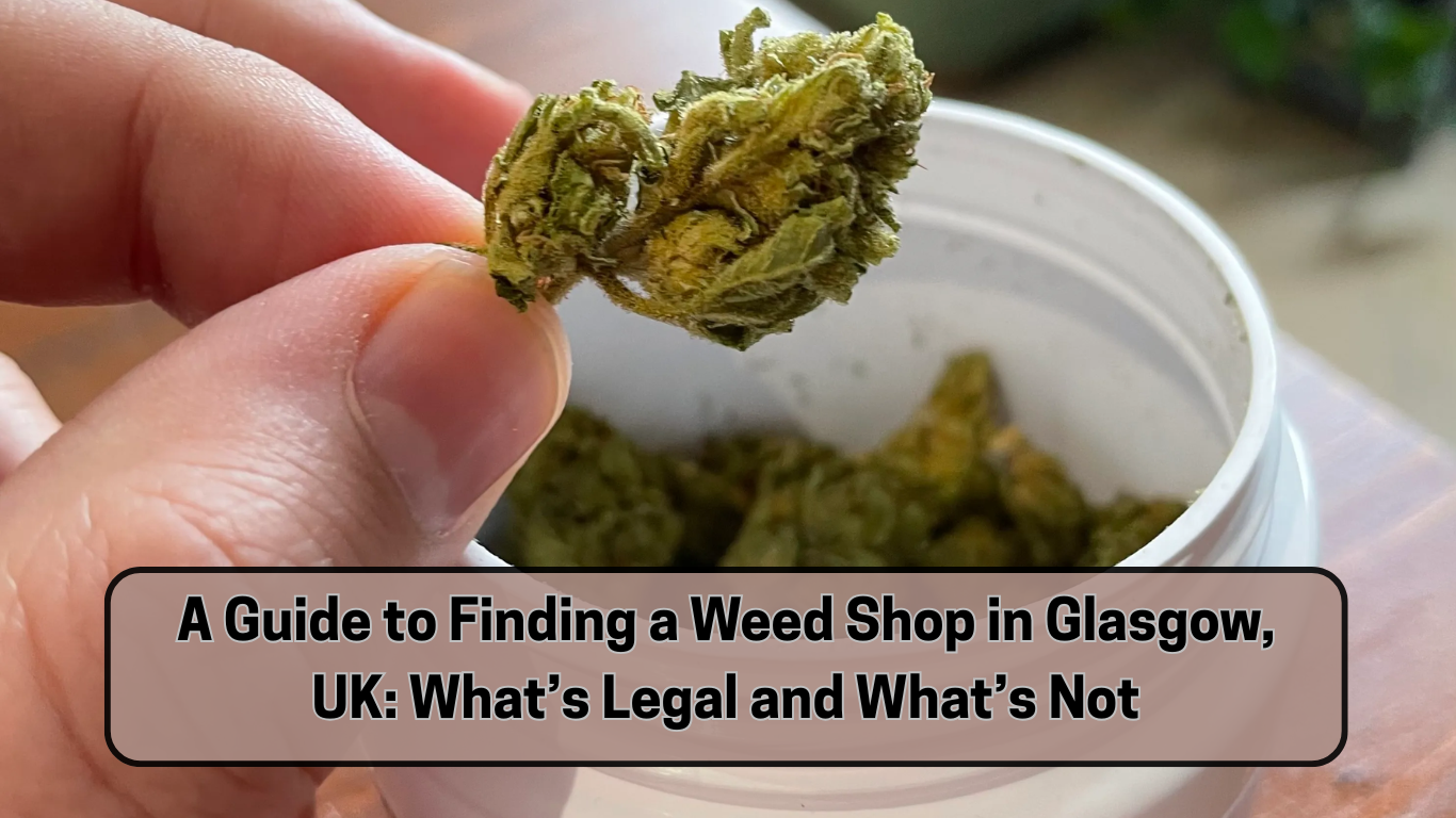 A Guide to Finding a Weed Shop in Glasgow, UK: What’s Legal and What’s Not