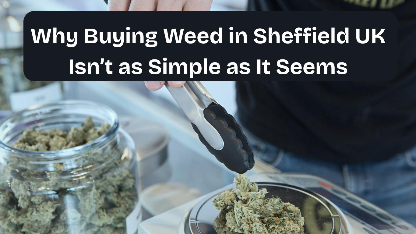 Why Buying Weed in Sheffield UK Isn’t as Simple as It Seems