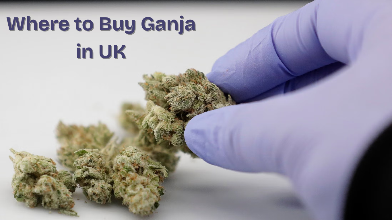 Where to Buy Ganja in UK