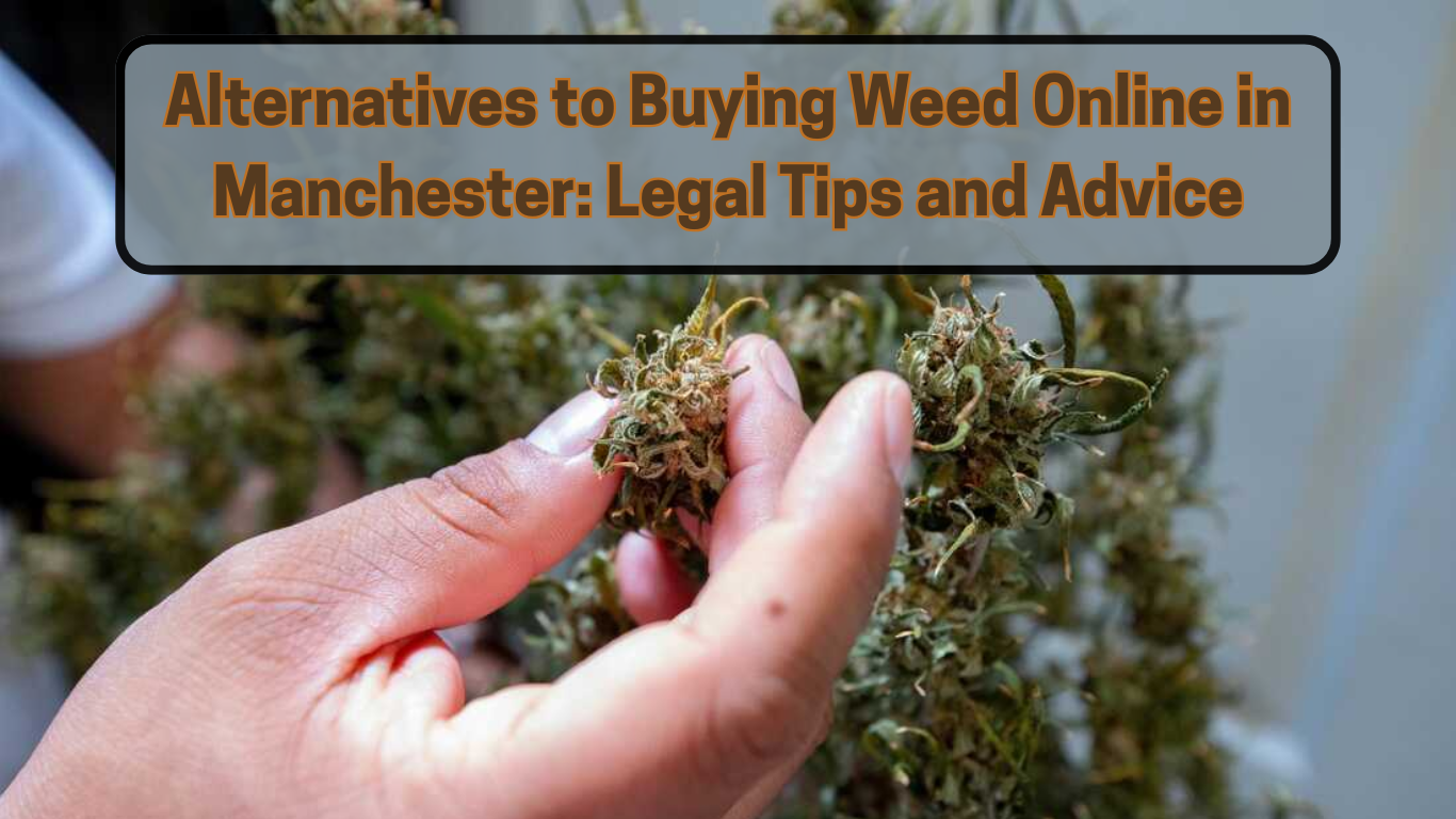 Alternatives to Buying Weed Online in Manchester Legal Tips and Advice