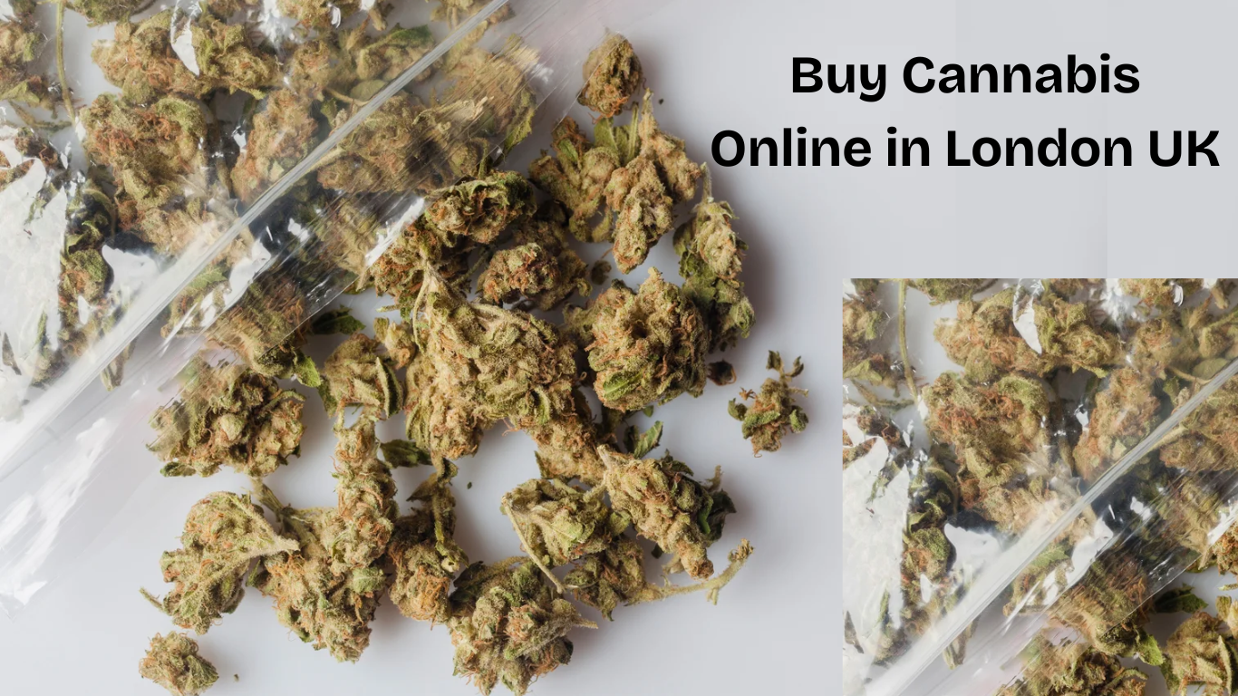 Buy Cannabis Online in London UK