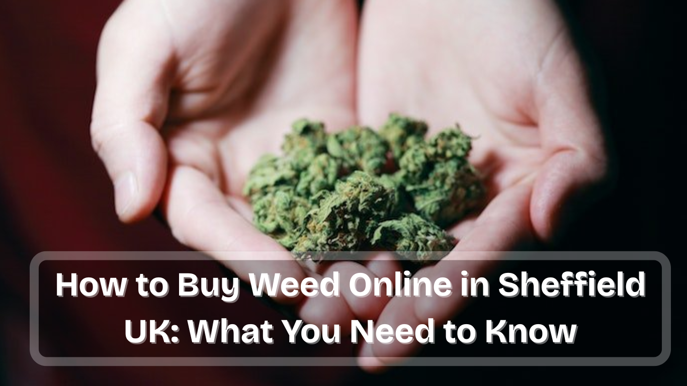 How to Buy Weed Online in Sheffield UK: What You Need to Know