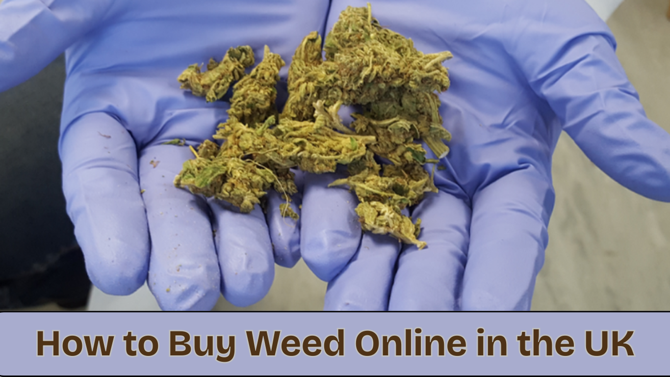 How to Buy Weed Online in the UK