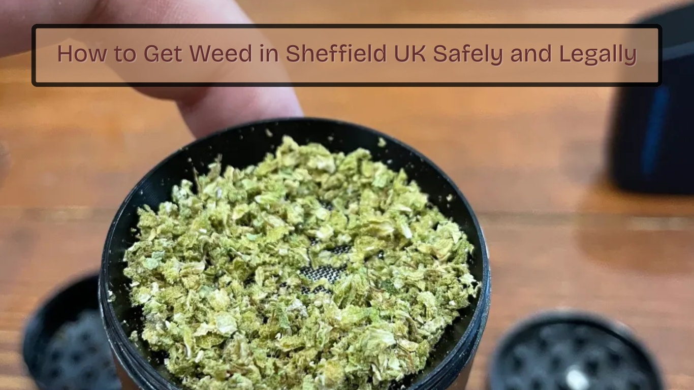 How to Get Weed in Sheffield UK Safely and Legally