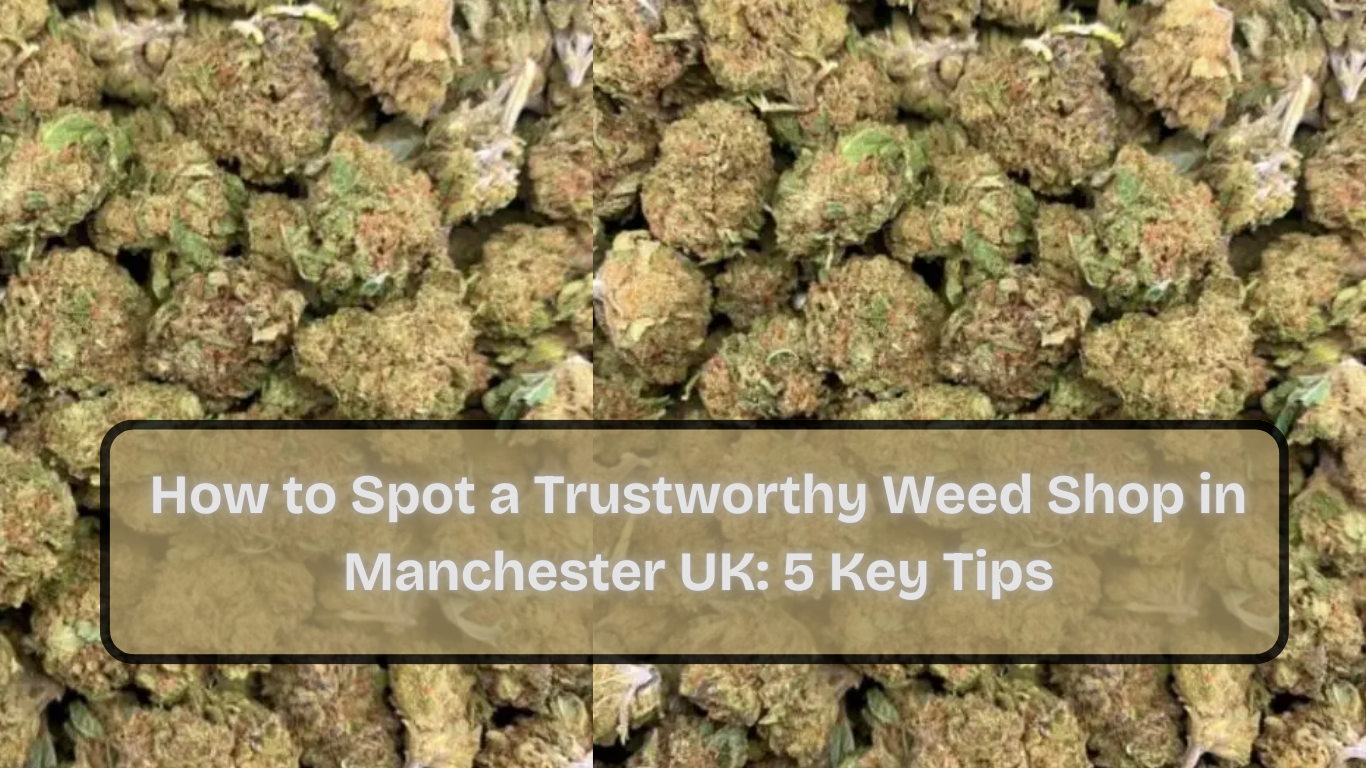 How to Spot a Trustworthy Weed Shop in Manchester UK: 5 Key Tips