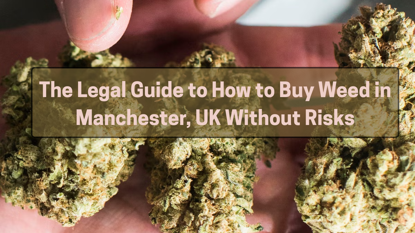 The Legal Guide to How to Buy Weed in Manchester UK Without Risks