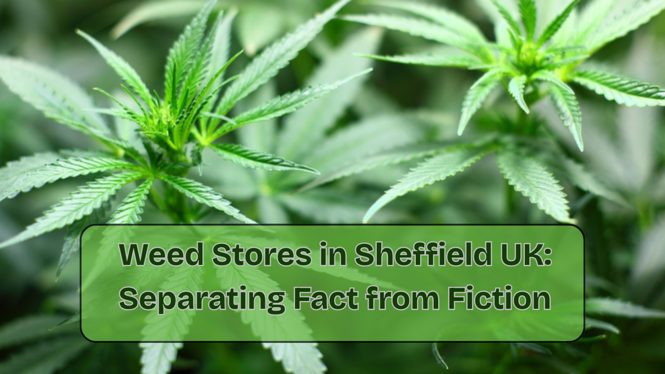 Weed Stores in Sheffield UK Separating Fact from Fiction