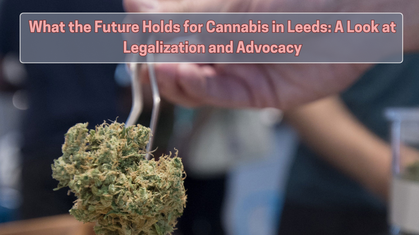 What the Future Holds for Cannabis in Leeds A Look at Legalization and Advocacy